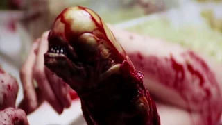 Die 10 außergewöhnlichsten Tode in Horrorfilmen | MythenAkte