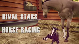 Rival Stars Horse Racing. Обновление : 21новая масть и предпочтения имеют значение