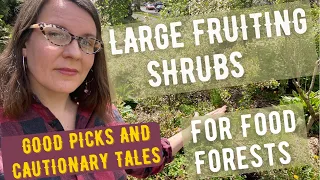 Choosing Large Fruit-Producing Shrubs for Food Forest Design: Great Choices, Cautionary Tales