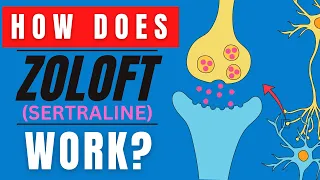 HOW DOES ZOLOFT WORK? (SERTRALINE MEDICATION FUNCTION EXPLAINED)