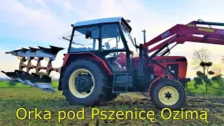 Rolnik Szuka i Jego Zetor 7211 oraz Ursus C330 Pokazują jak Pracują - Siew Pszenicy 19/20 VLOG