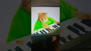 RIP Keyboard Cat 1978-1987