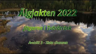 Älgjakten 2022 - avsnitt 3: Sista chansen