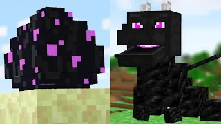 We Updated The Ender Dragon Egg in Minecraft