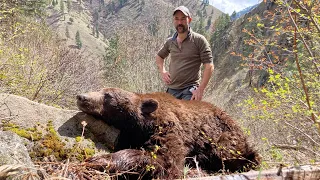 “Above the Sheep” Black Bear in Brutal Country | S7E1 | Limitless Outdoors