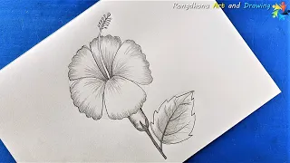 Joba ful Drawing | How to draw Hibiscus