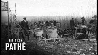 Land Girls (1917)