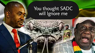 ED Running Out Of Time  as chamisa Calls the Shots to SADC
