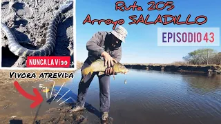 Rio Saladillo por Ruta 205 // pesca de Carpas, CARPFISHING // Naturaleza y Una vivora // MJ-PESCA