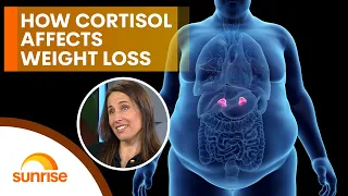 How to balance your cortisol to lose weight without exercise
