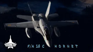 DCS : F/A-18 C | No15 VIPER | GROWLING SIDEWINDER | AIR QUAKE