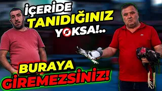 10.000 TANE GÜVERCİNİN BULUNDUĞU "TAKLACI GÜVERCİN MERKEZİ" | HAKAN YETİŞ GÜVERCİN TESİSİ