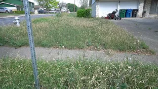 DISABLED Elderly came home from a hospital with his lawn Overgrown, So i Cleaned it for FREE