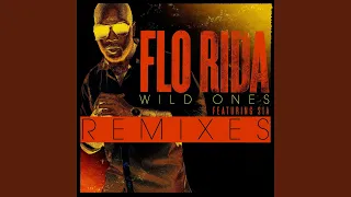 Wild Ones (feat. Sia) (Basto Remix)