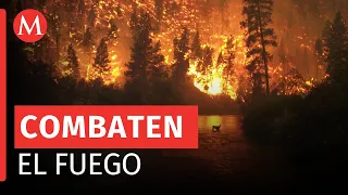 Despliegan un helicóptero militar para combatir un incendio en Oaxaca