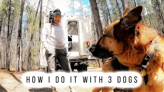 S1E13 How I Deal with 3 Dogs | Full-Time Truck Camper Living