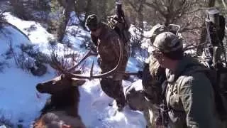 Long Range Hunting Kill Shot - 620 Yards Late season Bull Elk - Extreme Outer Limits TV