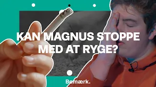 Hvordan stopper man med at ryge? Magnus tester, og Bemærk henter inspiration i Norge I Kvit smøgerne