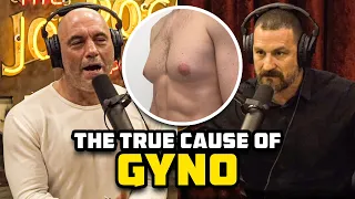 The TRUE Cause Of Gyno - Not Estrogen!?