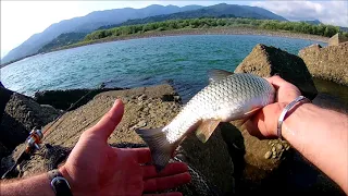 ბომბორა ქაშაპი