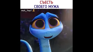 Как он испугался 🤣 #shorts #дорогадомой