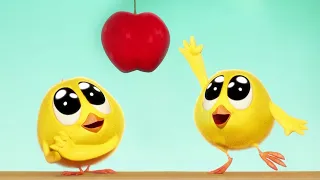 Where's Chicky ? 🍎 THE APPLE - NEW episodes in HD