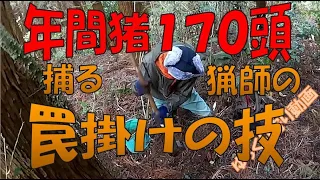 有害駆除　年間猪１７０頭捕る猟師の罠の仕掛け方！　ゆっくり狩り動画  くくり罠　電気槍　狩猟　仕留め　止め刺し