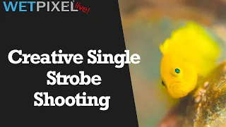 Creative Single Strobe Use for Underwater Photographers