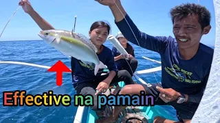 Hindi Nag tagal Ang Ganitong Pamain sa mga Mamaw Na Grouper!