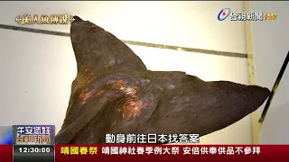 美人魚在台消失全台僅剩2隻儒艮標本