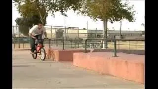 Peg Leg Phoenix Crew - DIG BMX Exclusive