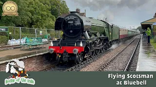 Flying Scotsman at Bluebell - 26th August 2023