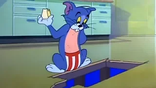 Short Tom and Jerry Cartoon Nit Witty Kitty