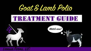 Sick Goat and Lamb Can’t Get Up!   Polio: A Comprehensive Treatment Guide