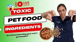 Toxic Pet Food Ingredients - Are these harming your pet’s gut health?