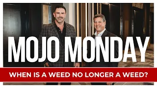 Mojo Monday: When Is A Weed No Longer A Weed?