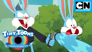 MASH-UP: Funny Bunny Business 🐰🤪 | Tiny Toons Looniversity | Cartoon Network