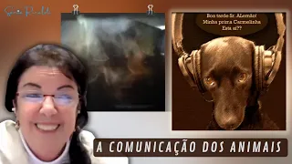 A COMUNICAÇÃO DOS ANIMAIS ATRAVÉS DA TRANSIMAGEM - TCI