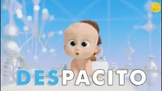 Boss Baby || Hindi Despacito || KRAAZY SMV ||