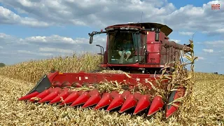 CASE IH 7250 Combine Harvesting Corn