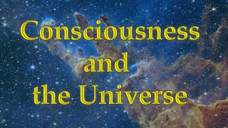 Consciousness and the Universe