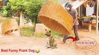 Wow!! Best Prank Dog Big Huge Handmade Basket Prank Dog