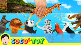 Let Animals go home 7 ! animal names and sounds, animals animation, collectaㅣCoCosToy