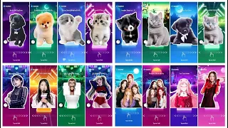 Cute Cats vs Dogs ALL VIDEO MEGAMIX JISOO FLOWER  Skibidi Toilet | Dance Monkey | Toca Toca Dance