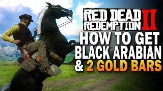 How To Get The Black Arabian & 2 Gold Bars! Red Dead Redemption 2 Horses [RDR2]