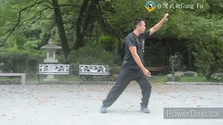 台灣武術Gung Fu  台灣太極拳  Tai Chi  梁文瀚