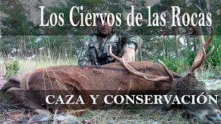 Cómo cazar un ciervo en zonas difíciles. Vídeos de caza y armas.