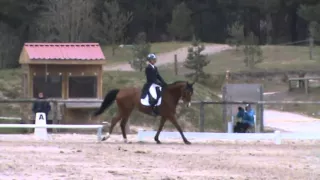 victoryhope dressage cci1 fontainebleau mars2016