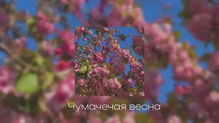 Sped up songs весенних песенок