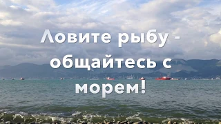 Рокфишинг rockfishing рыбалка на Черном море. Суджукская коса - Новороссийск